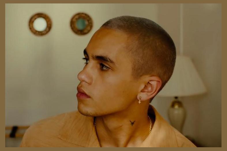 Dominic Fike